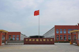 申洲國際半年業績增收10.8%，生產效率提升成關鍵驅動力，運動類產品銷售額占67.9%